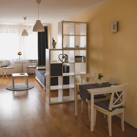 Sunflower021 Novi Sad