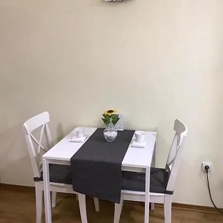 Sunflower021 Apartment Novi Sad