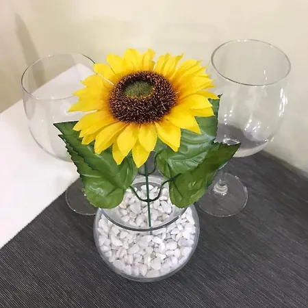 Sunflower021 Διαμέρισμα Νόβι Σαντ