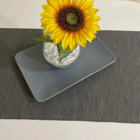 Appartement Sunflower021 Novi Sad